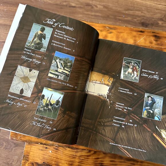 Vintage 2002 Scholastic 1621 A New Look At Thanksgiving Paperback Book - Picture 3 of 11